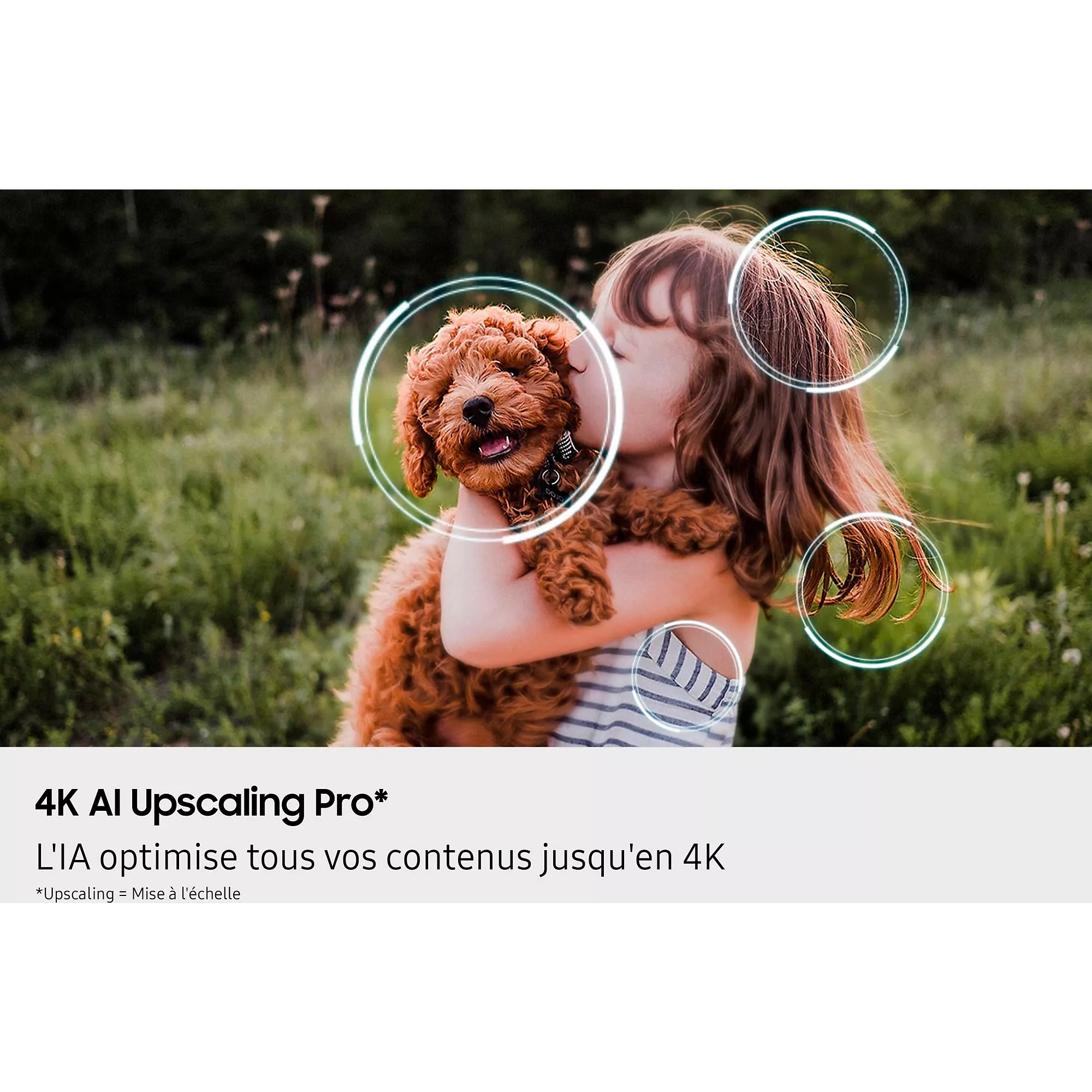 Téléviseur Mini-LED Samsung NeoQLED TQ43QN90F 4K AI 2025 – 43″ (108 cm) – Image 8